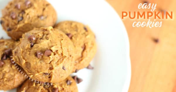 easy pumpkin cookies recipe