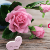 Mother's Day gifts for moms that live far away