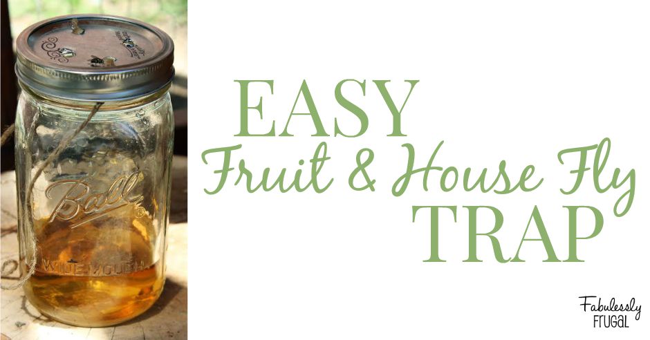 Get rid of fruit flies in the house.