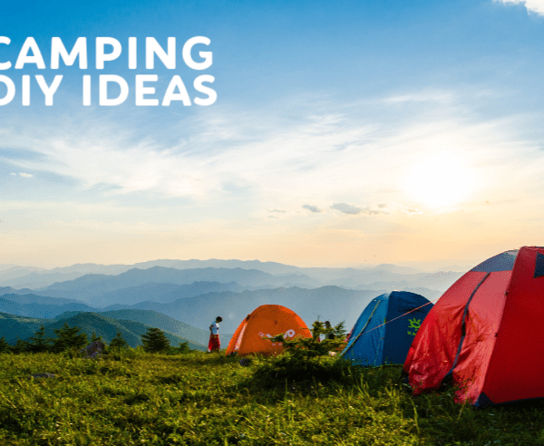 Camping tents in beautiful area