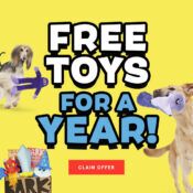 barkbox subscription