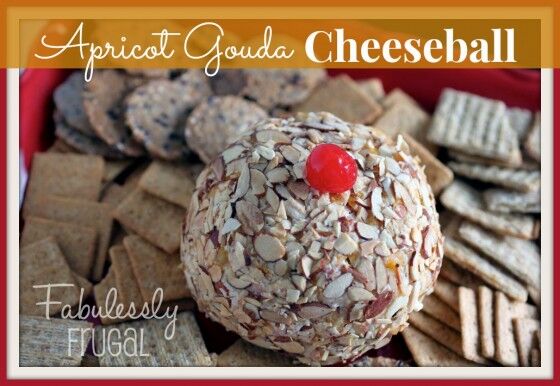 Apricot Gouda Cheeseball